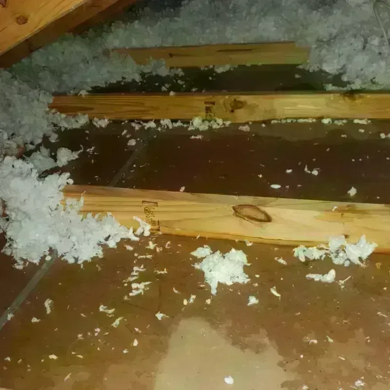 Attic Water Damage in Grant Parish, LA